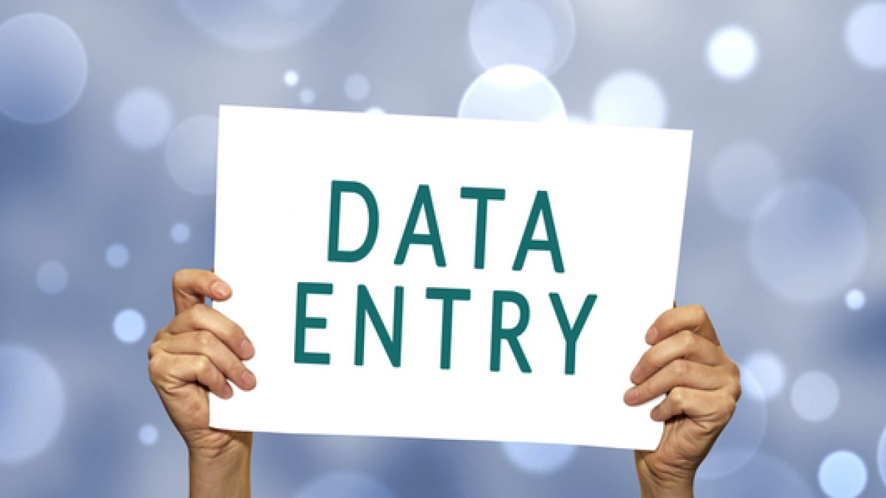 Maximizing Efficiency with Professional Data Entry Services