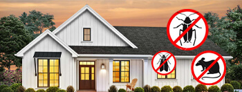 Termite inspection Westchester New Windsor