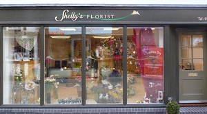 Toughened Glass Shop Fronts