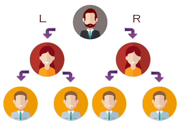 Binary Plan: the most excellent for Network Marketing Business