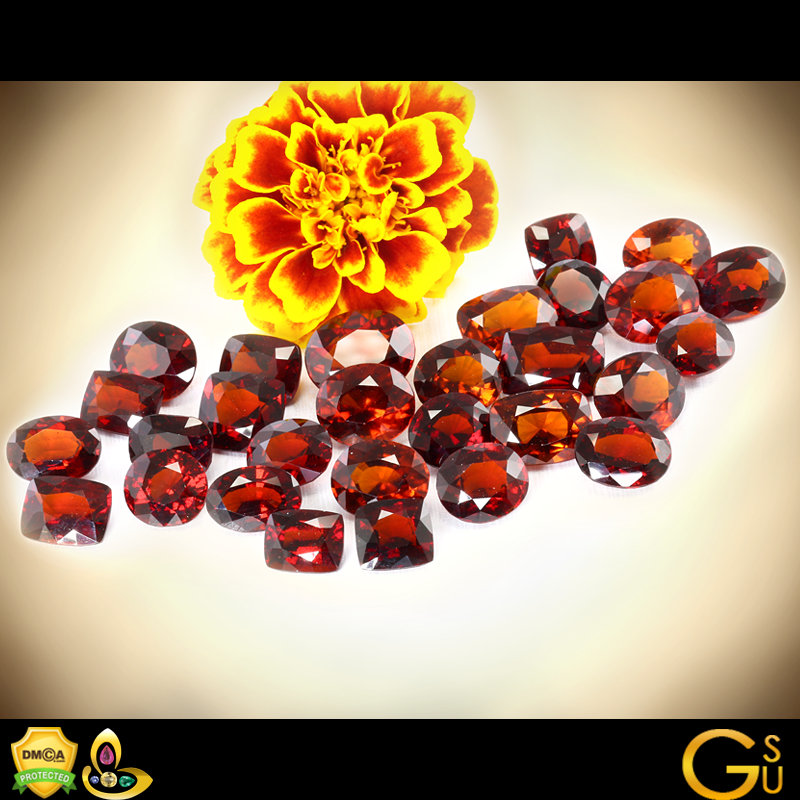 Gomed Stone Benefits | Gomed Stone Price