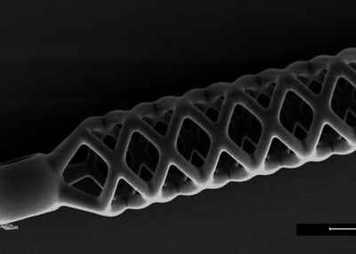 The world's smallest stent