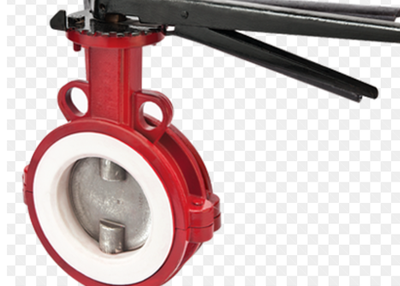 Define the structure of the butterfly valve