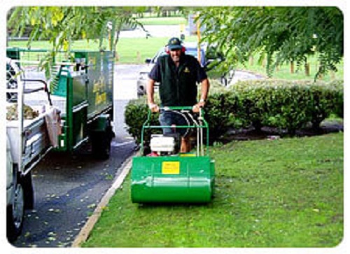 Best Price for Lawn Mowing Services in Perth