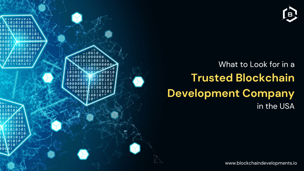 What to Look for in a Trusted Blockchain Development Company in the USA