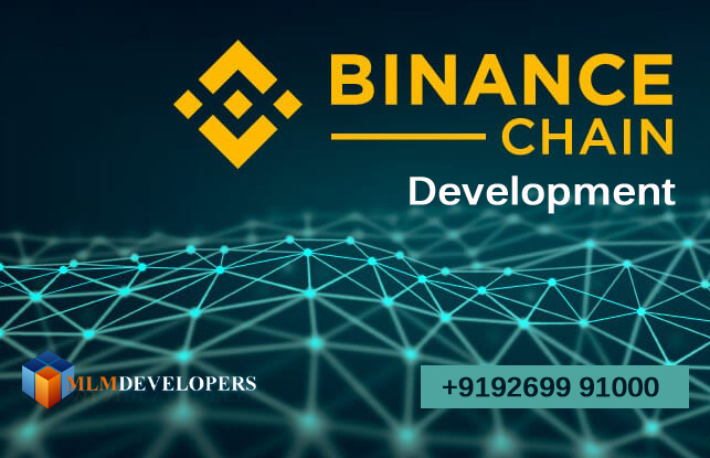 Binance Smart Chain Development Company