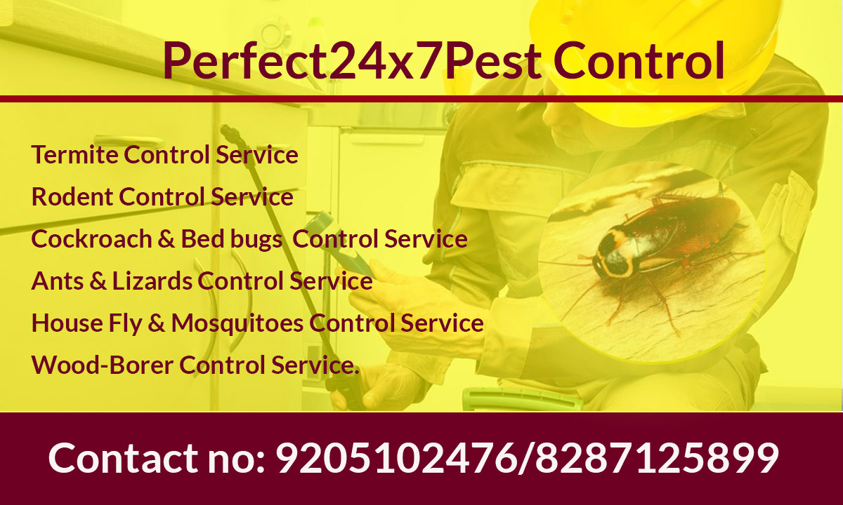 Pest control service | Pest control in delhi | Perfect 24x7 Pest control