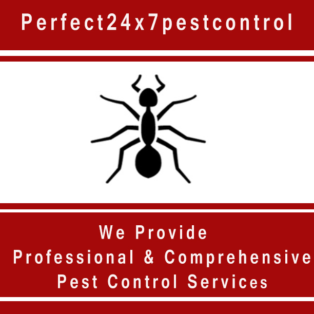 Best pest control in delhi | pest control services |perfect 24x7 pest control