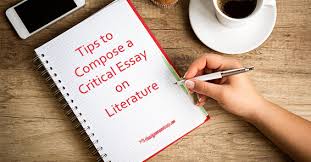 Critical Essay On Literature