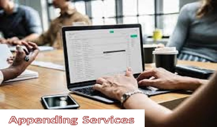 Improve business revenue and explore global markets with Appending Service