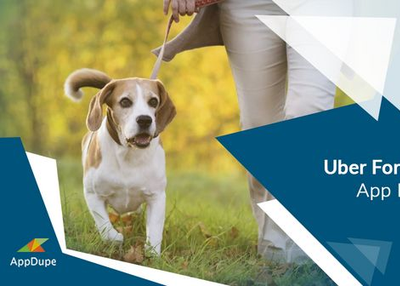 Must-Have Features of an On-demand dog walking app