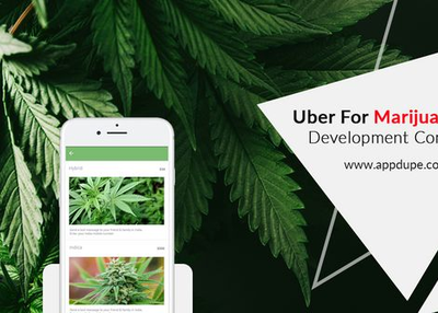 Indulge Marijuana Medicinal Properties with Uber for Marijuana