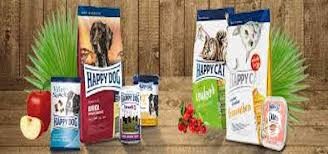 SHOULD I GIVE MY DOG ?DRY OR WET FOOD?