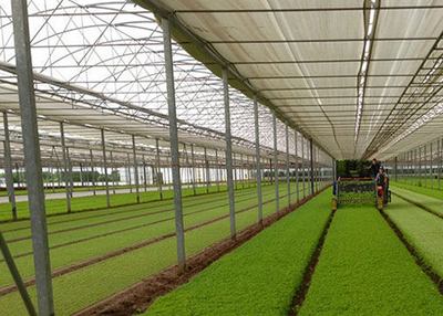 Shade Nets in Bangalore