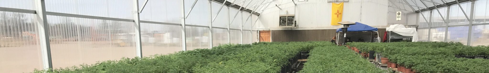 Industrial Hemp Consulting Services – Grow Your Own Hemp Industry