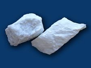 Synthetic Calcium Carbonate Market Growth 2019-2024