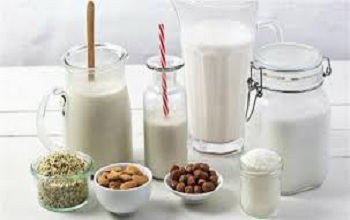 Plant Based Milk Market Insights, Forecast to 2025