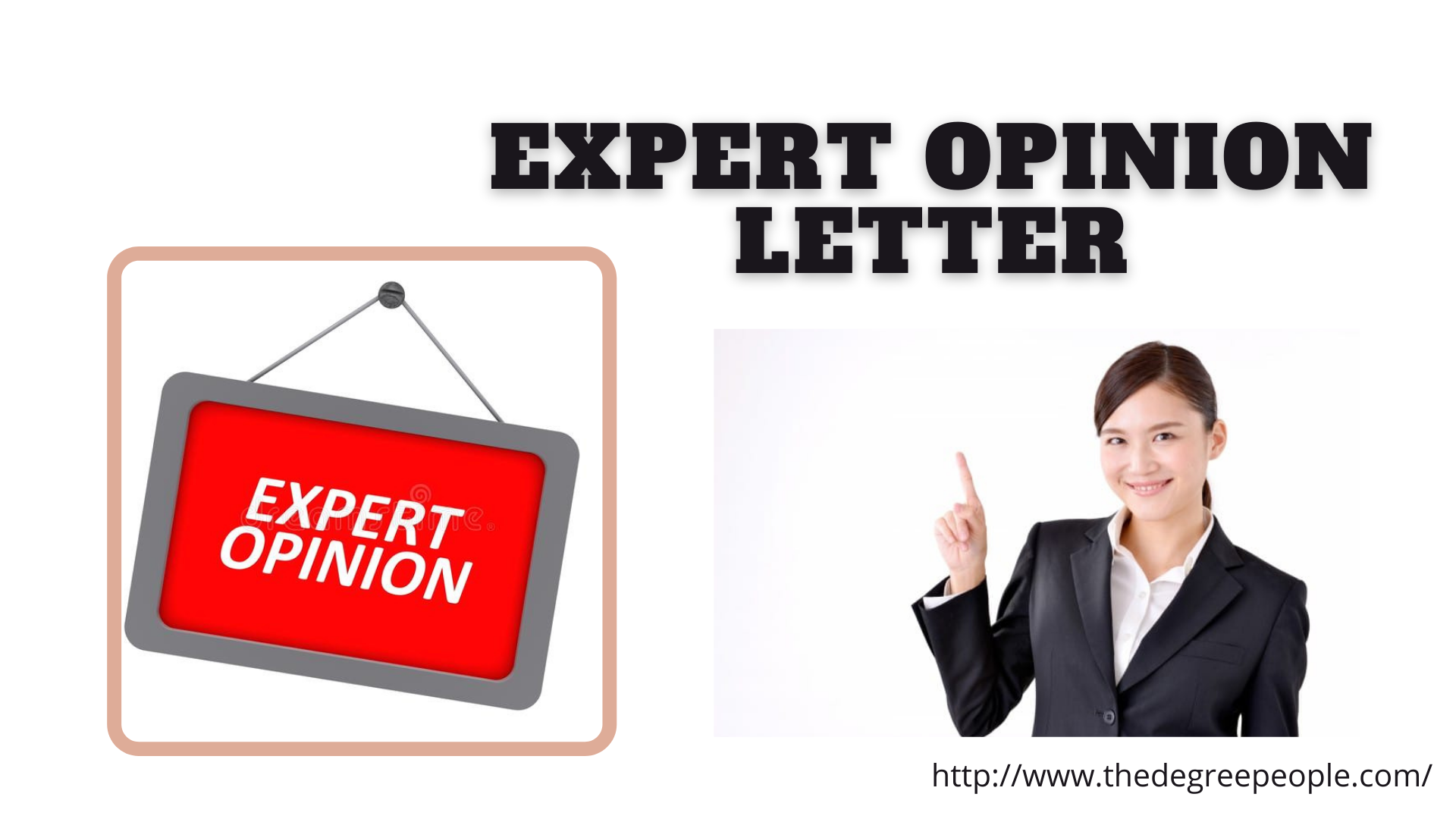 Expert Opinion Letter