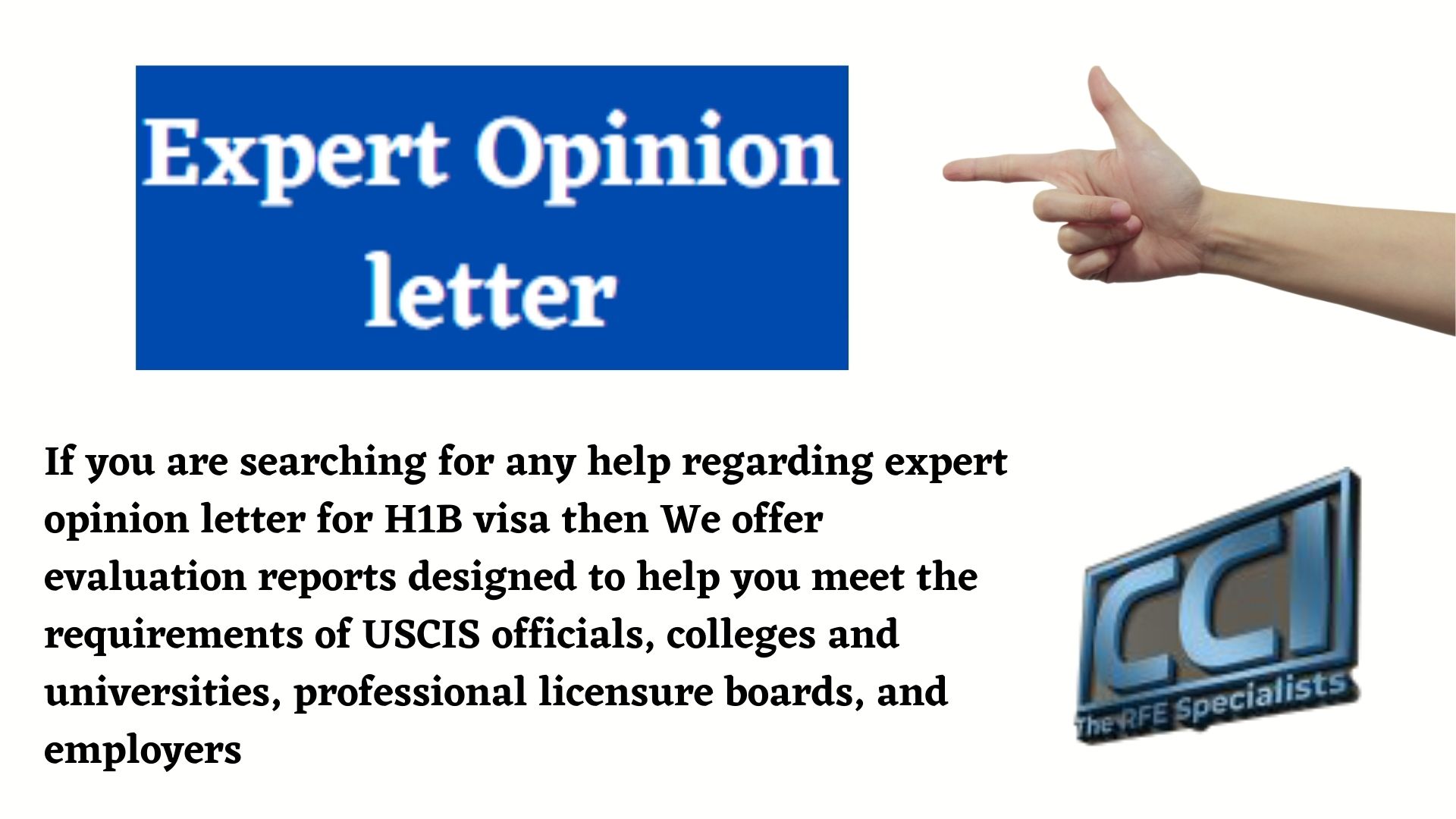 Expert Opinion Letter
