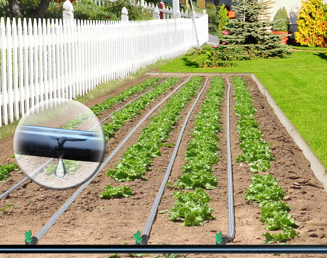 Drip Irrigation Market Insights 2019