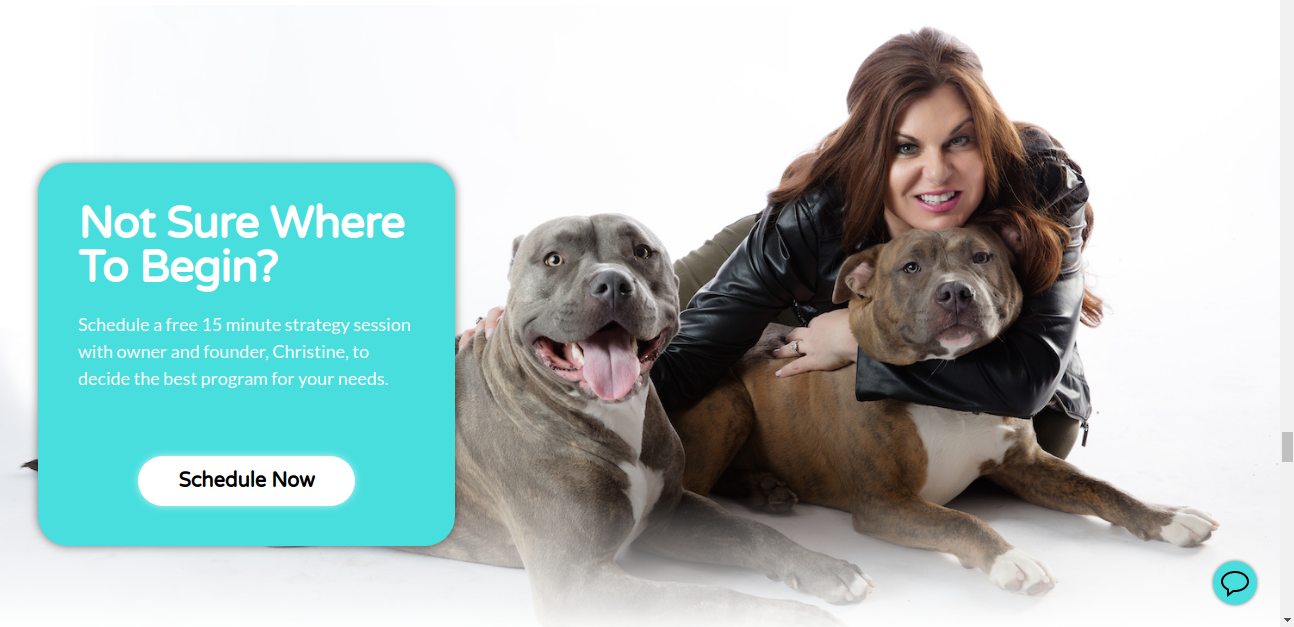 What Are The Benefits Of Hiring Private Dog Training Services In Shelby Township?