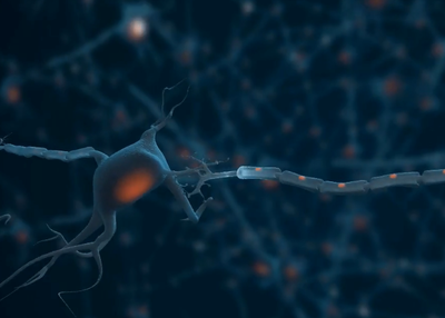 Encephalitis : Causes, Symptoms and Treatment