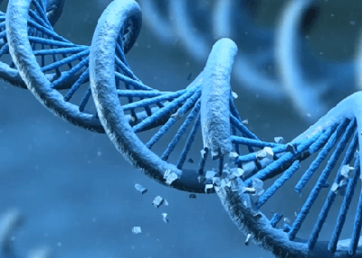 3D Medical Animation – A Solution to Present Complex Data in Simple Way