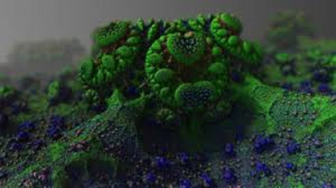Effective Microorganisms (EM) Market Growth 2019–2024