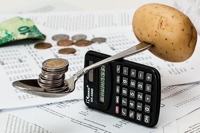 How to plan home budget - that is, where to look for savings?