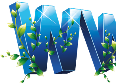 How to optimize graphics on a website?