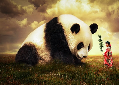 Learning chinese for beginners – how to learn Chinese?