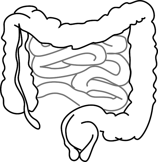Colon cleanse home remedy