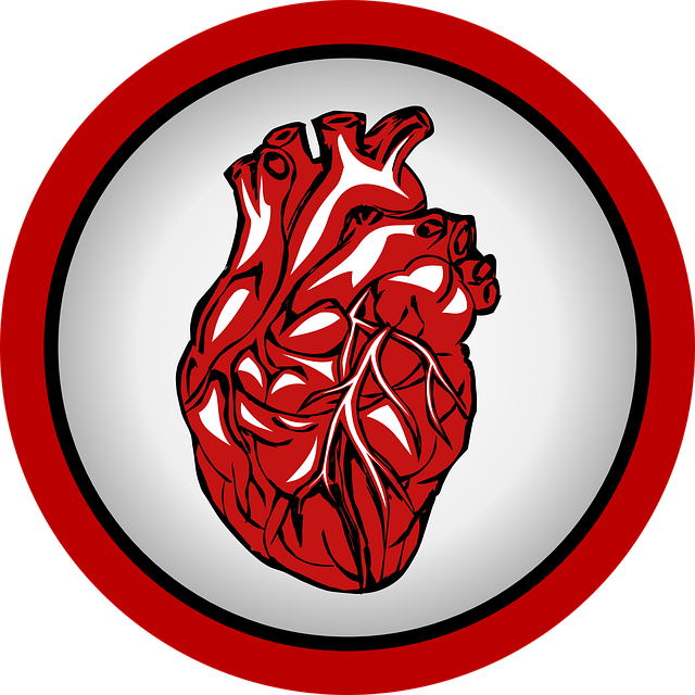How to live after a heart attack?