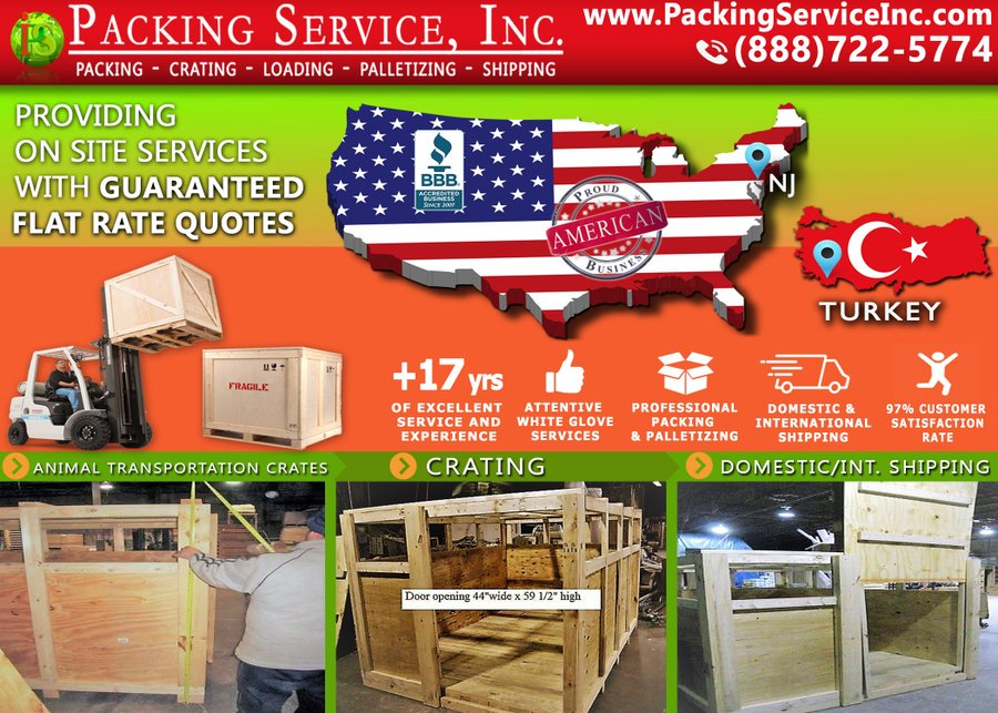 Professional Packing and Shipping Companies 