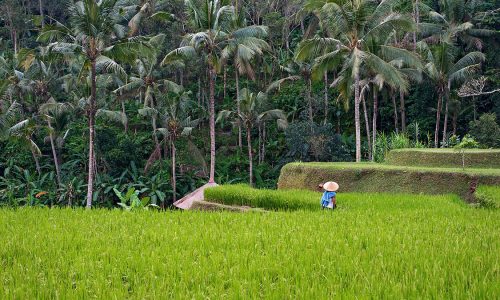 Looking For Best Villa rental bali