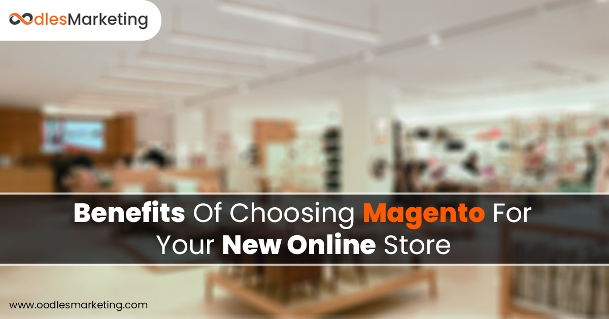 Launching Your Home Decor Website With Magento E-commerce Development