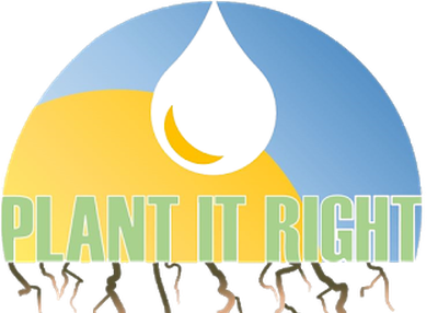 Subterranean Plant Root Water Reservoir Bennett