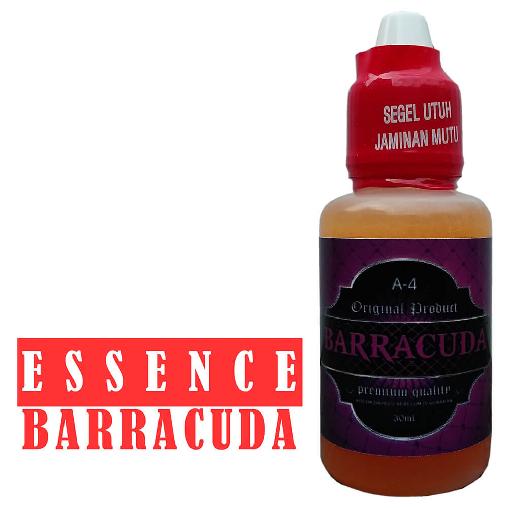Sell Barracuda A4 Essen Most Okay