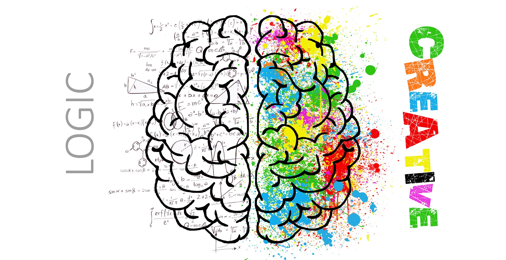Are you Left or Right Brained?