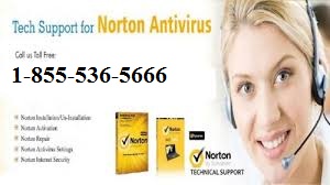 Norton Support Phone Number 18555365666