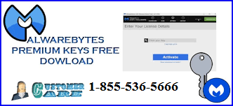 Malwarebytes Support Number 1-855-536-5666