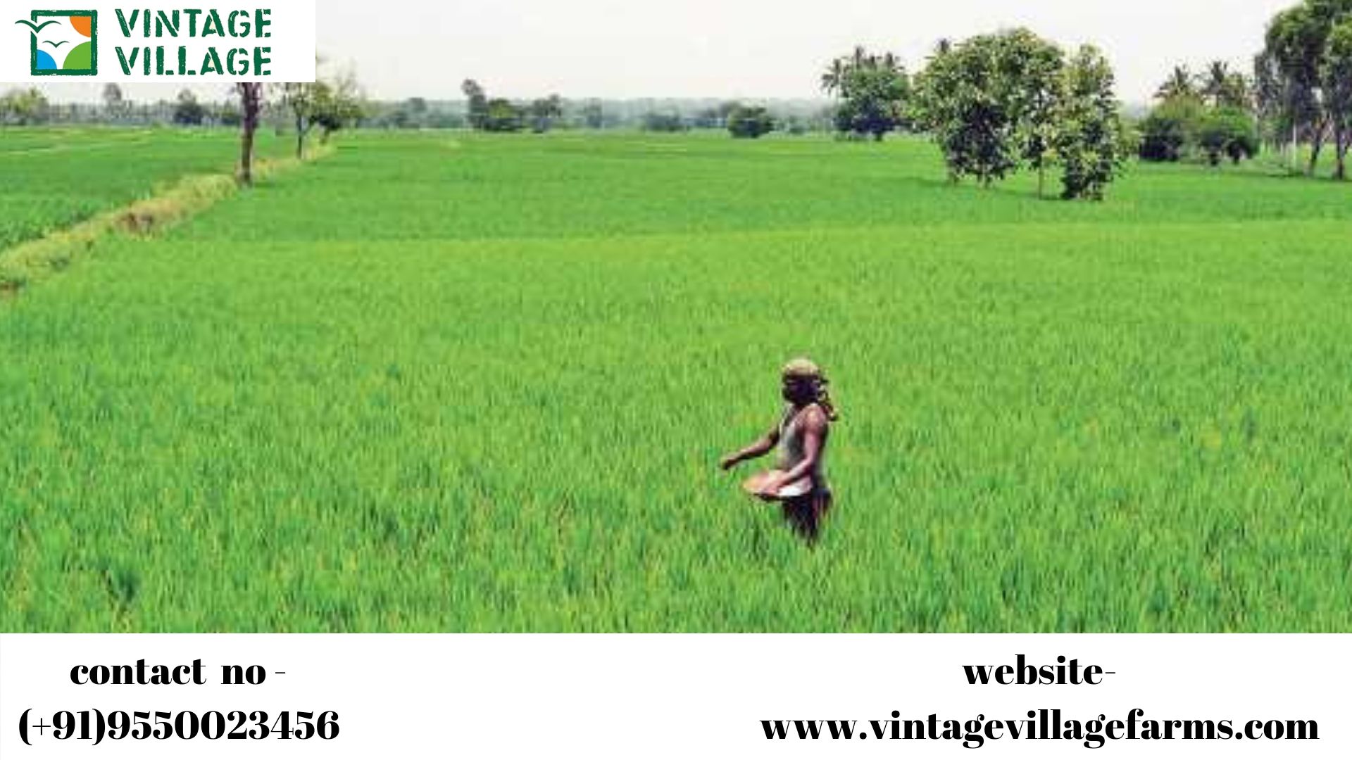 Rock solid Reasons Why to Invest on Raw lands