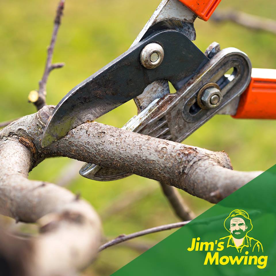Lawn Mowing Arthurs Creek - Jim's Mowing Melbourne North East