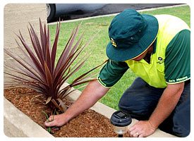 Lawn Mowing Coburg | Jim's Mowing Melbourne North