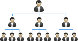 Matrix MLM software