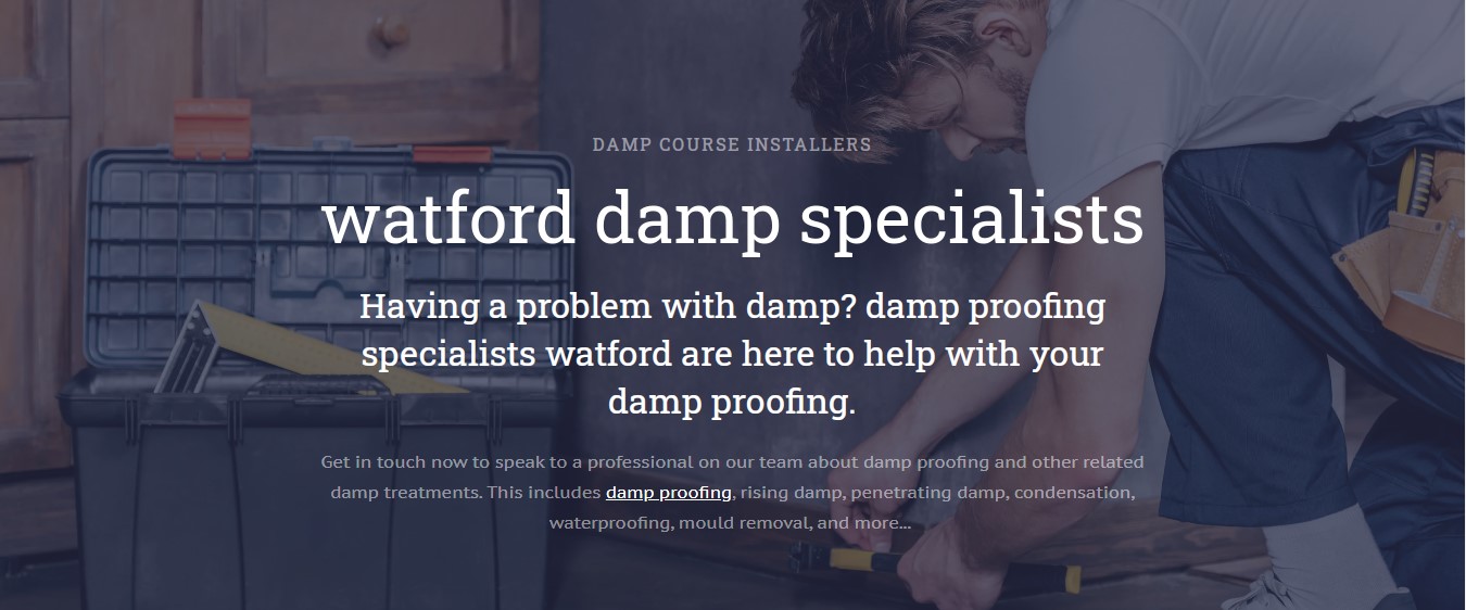 Watford Damp Specialists