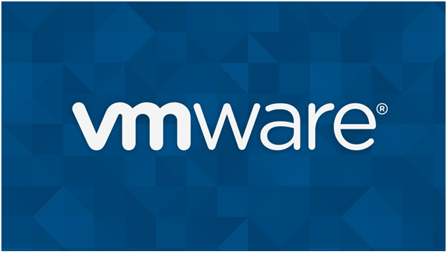 VMware's Q2 Financial Results Generate Mixed Expectations for the Coming Year