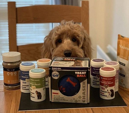 Natural Dog Treats for Training in UK