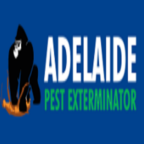 best termite treatment Adelaide