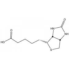 D-Biotin Market 2020 World Analysis and Forecast to 2025